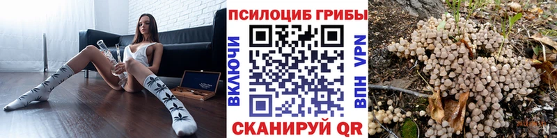 Галлюциногенные грибы мухоморы omg tor Тайга
